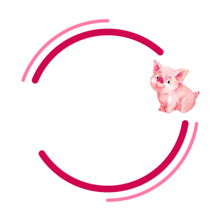 Piggy Design